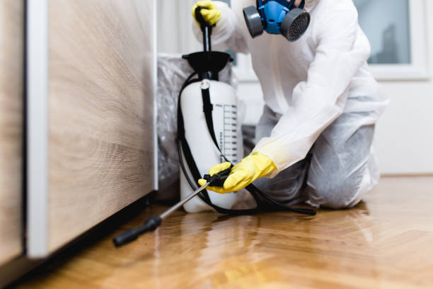 Best Commercial Pest Control Services  in Dallastown, PA