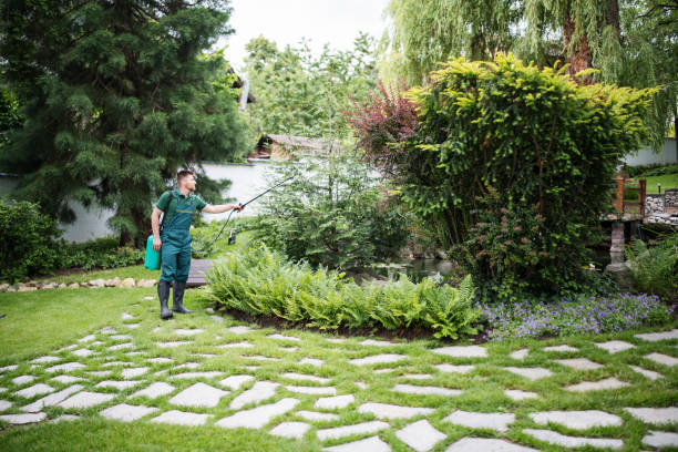 Best Wasp Removal Services  in Dallastown, PA