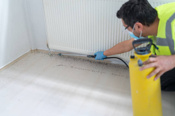 Best Termite Control Services  in Dallastown, PA